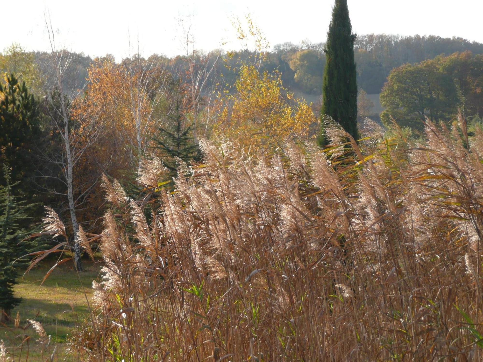 La Source, Vegetarian Guest House Chabeuil 외부 사진