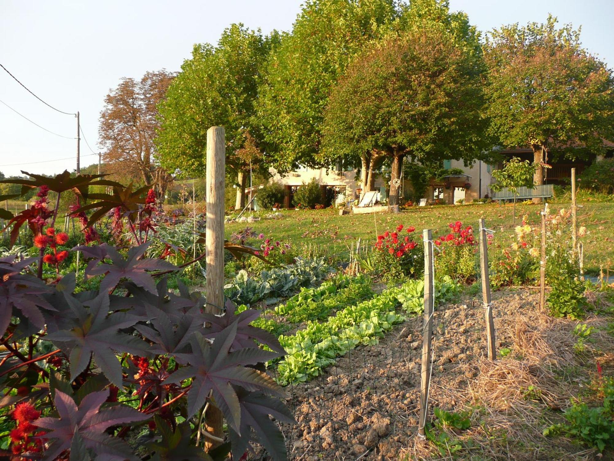 La Source, Vegetarian Guest House Chabeuil 외부 사진